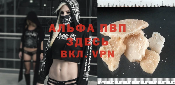 ГАЛЛЮЦИНОГЕННЫЕ ГРИБЫ Бородино