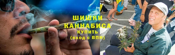 ГАЛЛЮЦИНОГЕННЫЕ ГРИБЫ Бородино