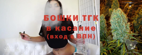 ГАЛЛЮЦИНОГЕННЫЕ ГРИБЫ Бородино