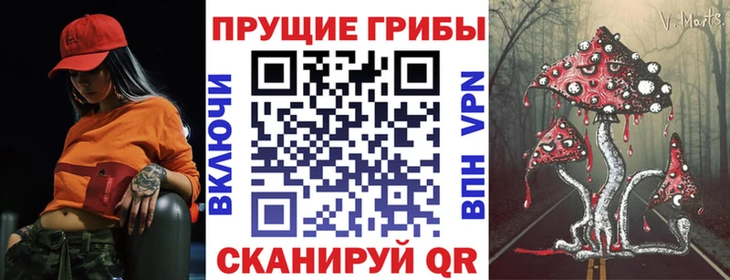 Галлюциногенные грибы мухоморы  купить наркотик  Енисейск 